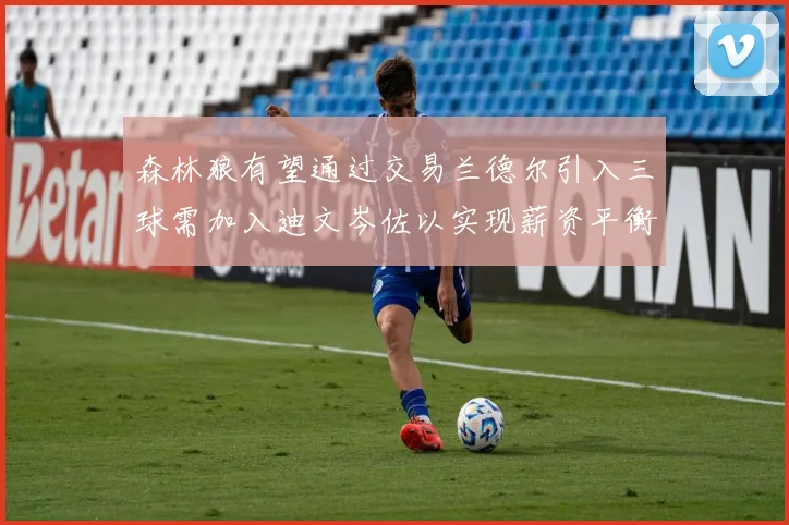 森林狼有望通过交易兰德尔引入三球需加入迪文岑佐以实现薪资平衡