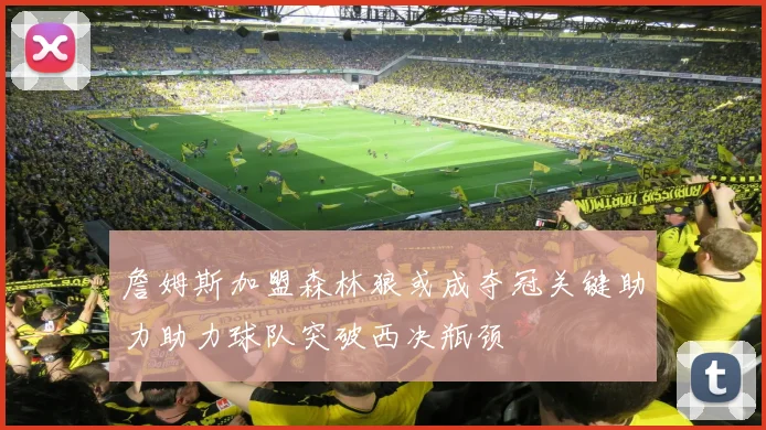 詹姆斯加盟森林狼或成夺冠关键助力助力球队突破西决瓶颈